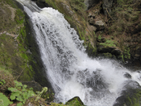 Deutschlands h&ouml;chste Wasserf&auml;lle I (Triberg)