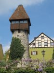 Storchenturm (Tiengen)