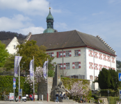 Schloss Tiengen (Tiengen)