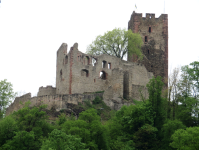 Ruine Kastelburg (Waldkirch)