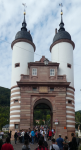 Alte Br&uuml;cke (Heidelberg)