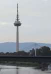 Luisenpark (Mannheim)