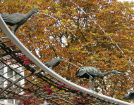 Schlossgarten IV (Schwetzingen)