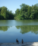 Schloss Monrepos II (Ludwigsburg)
