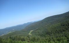 Landschaft (Kaltenbronn)
