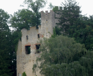 Burg Obergrombach (Obergrombach)