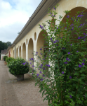 Schloss Favorite III  (Rastatt)