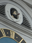 Urweltmuseum I (Aalen)