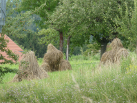 Freilichtmuseum I (Beuren)