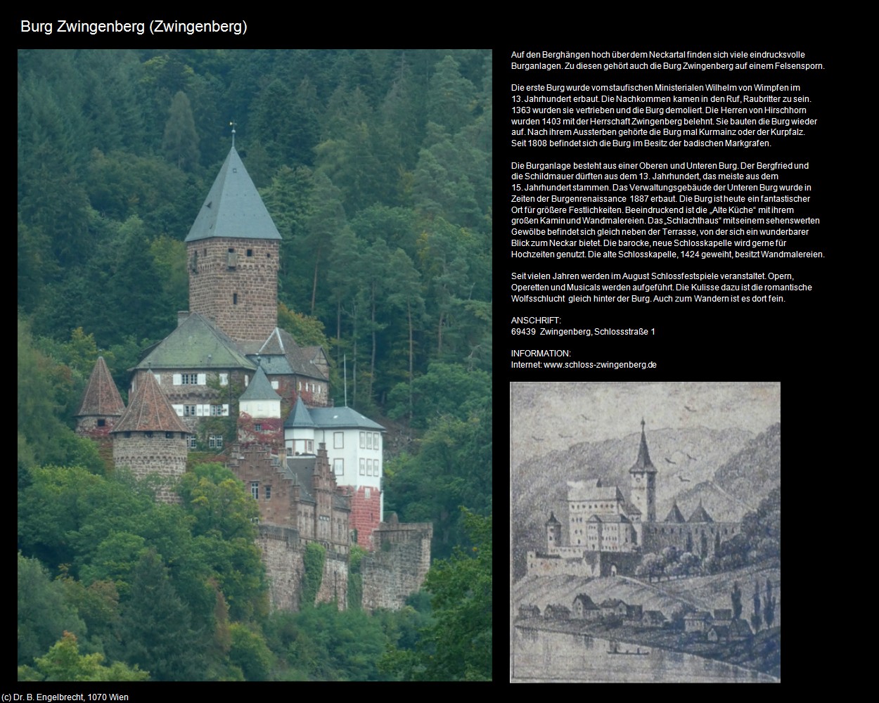Burg Zwingenberg (Zwingenberg) in Kulturatlas-BADEN-W&Uuml;RTTEMBERG