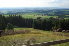 Römische Siedlung (Auerberg) (Bernbeuren)