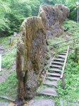 Wachsender Felsen (Usterling) (Landau an der Isar)