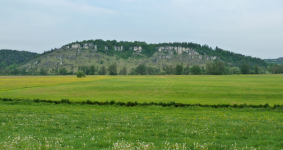 Naturschutzgebiet Eichenberg  (Kallmünz)