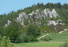 Großer Pfahl (Viechtach)