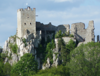 Burgruine Weißenstein (Regen)