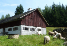 Alte Haustierrassen (Neusath-Perschen bei Naburg )