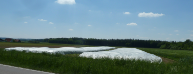 Spargel Anbau II (Schrobenhausen)