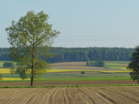 Schlachtfeld (Horgau) (Zusmarshausen)