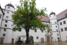 Schloss Höchstädt (Höchstädt an der Donau)