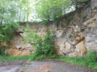 Riesseekalke am Sportplatz (Hainsfarth)