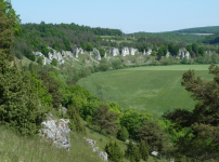 12 Apostel Felsen (Eßlingen) (Dolnstein)