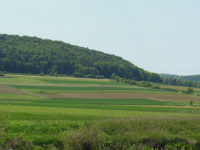 Vorzeitfestung Schellenburg (Kinding)