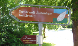 Tertiärwelt Aubenham (Oberbergkirchen bei Mühldorf am Inn )