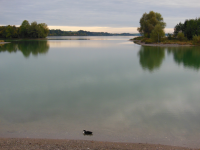 Forggensee (Füssen)