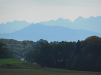 Kapelle hl. Koloman (Weipertshausen) (Münsing )