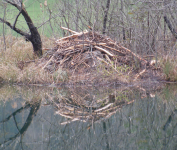 Bad Thumsee (Bad Reichenhall)