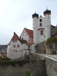 Burg Parsberg und Museum  (Parsberg)