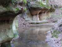 Bitterbachschlucht (Lauf an der Pegnitz)