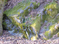 Eklogit am Weißenstein  (Stammbach)