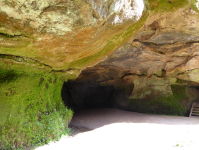 Schwarzachschlucht I (Schwarzenbruck )