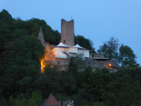 Ruine Scherenburg   (Gemünden am Main)