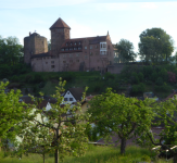 Burg Rieneck (Rieneck)