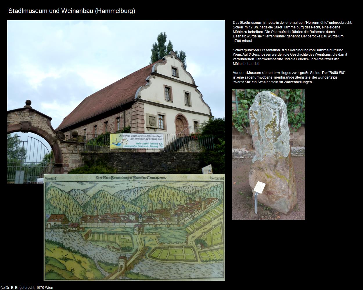 Museum und Weinanbau (Hammelburg  ) in Kulturatlas-BAYERN