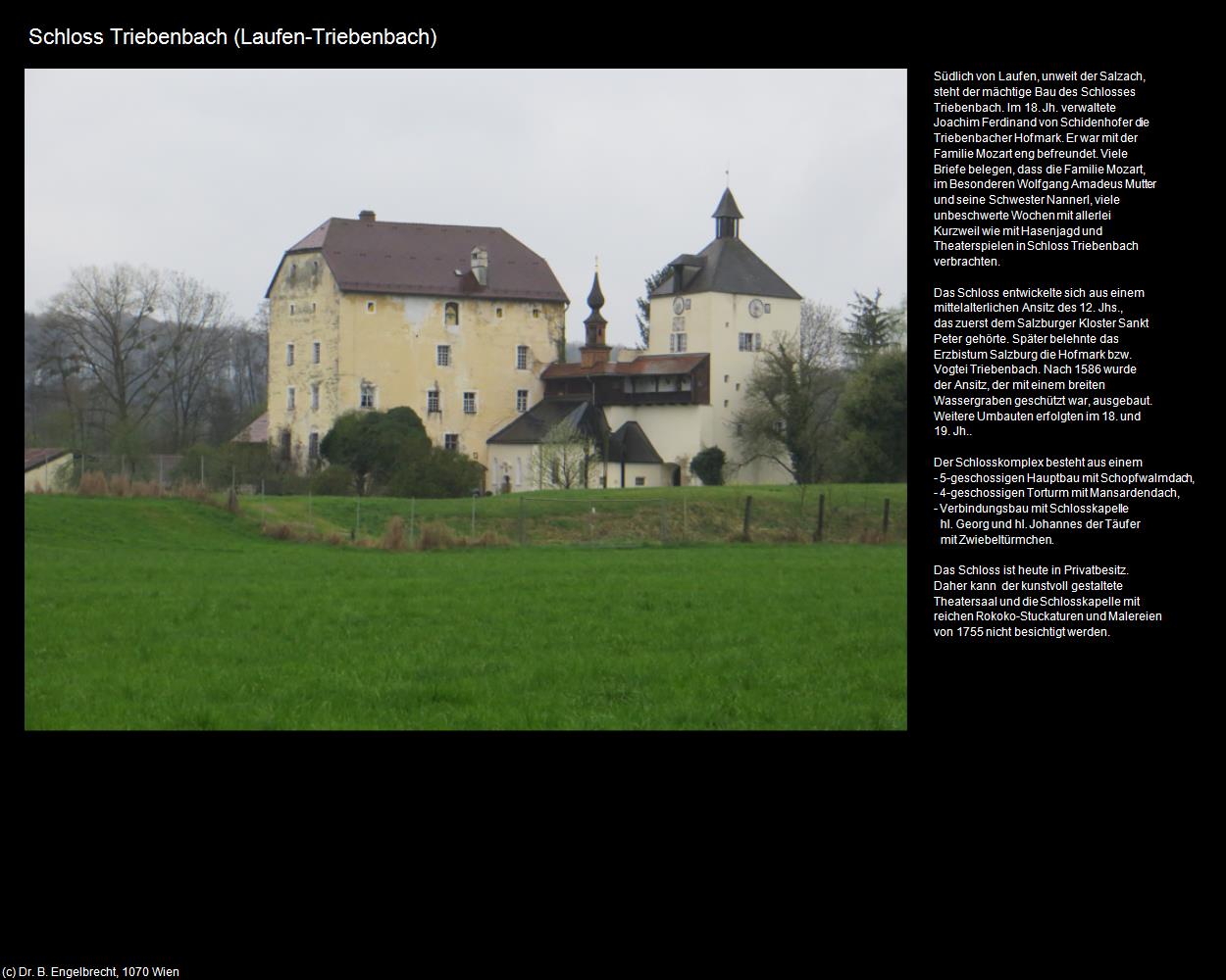 Schloss Triebenbach (Laufen) in Kulturatlas-BAYERN