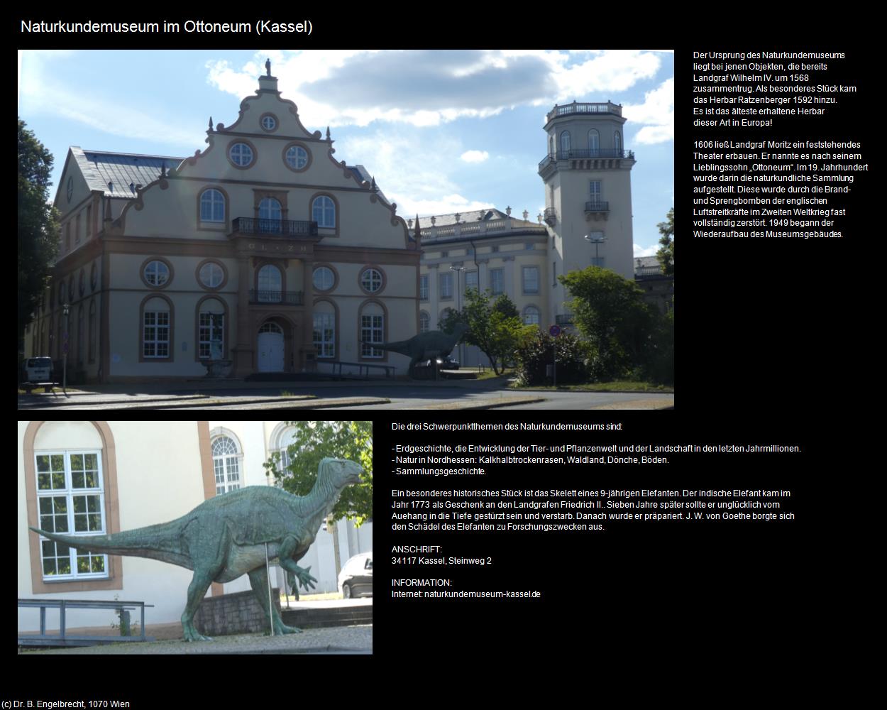 Naturkundemuseum im Ottoneum (Kassel) in Kulturatlas-HESSEN