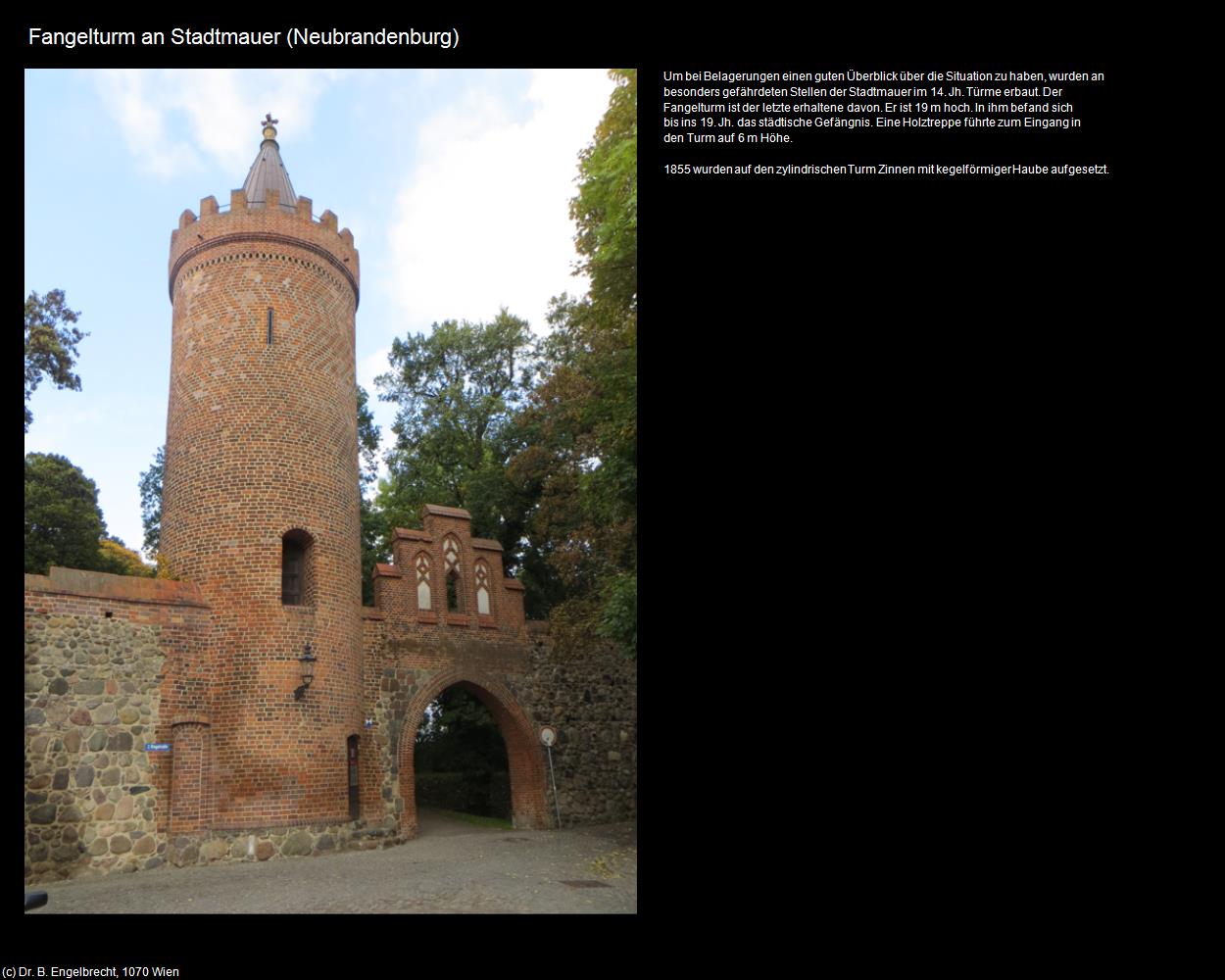 Fangelturm an Stadtmauer (Neubrandenburg) in Kulturatlas-MECKLENBURG-VORPOMMERN