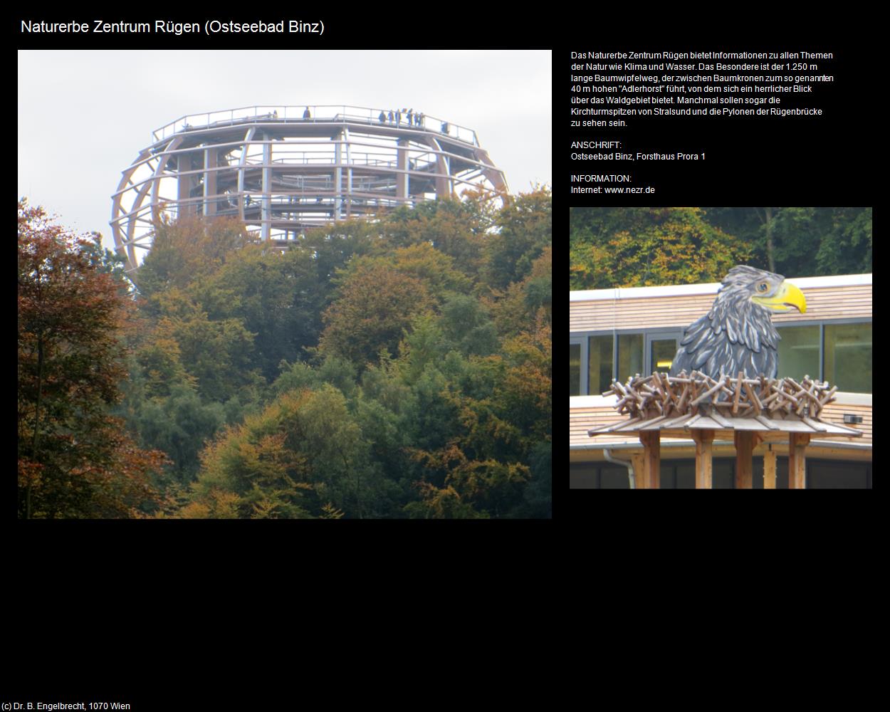 Naturerbezentrum Rügen (Ostseebad Binz) in Kulturatlas-MECKLENBURG-VORPOMMERN