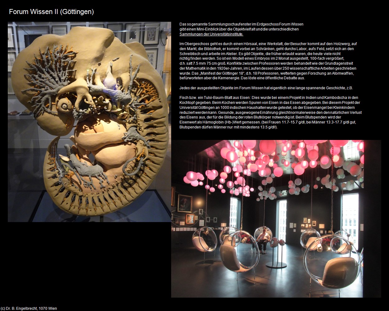 Forum Wissen II (G&ouml;ttingen) in Kulturatlas-NIEDERSACHSEN(c)B.Engelbrecht
