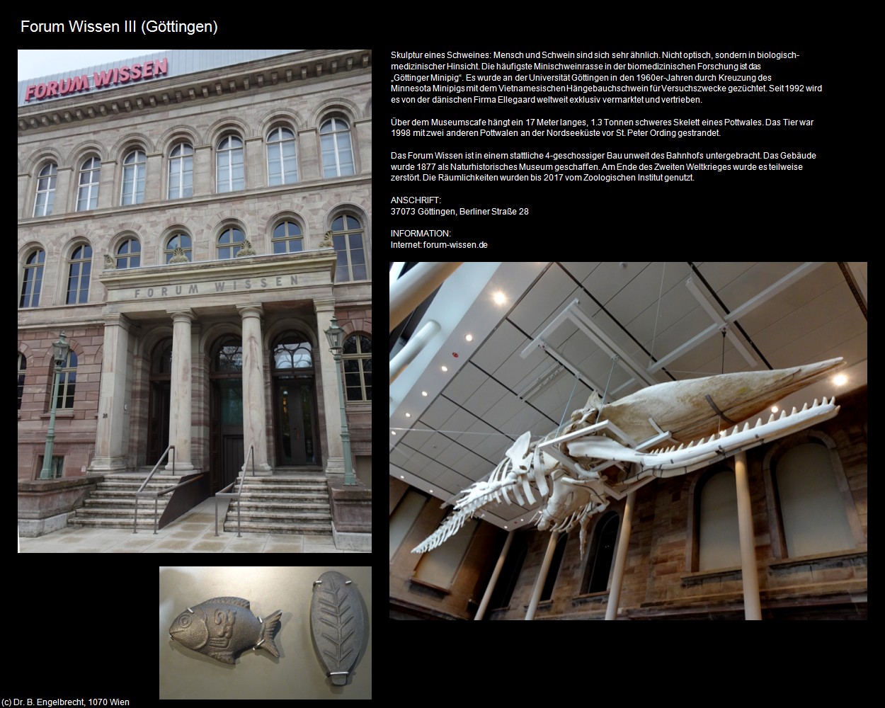 Forum Wissen III (G&ouml;ttingen) in Kulturatlas-NIEDERSACHSEN