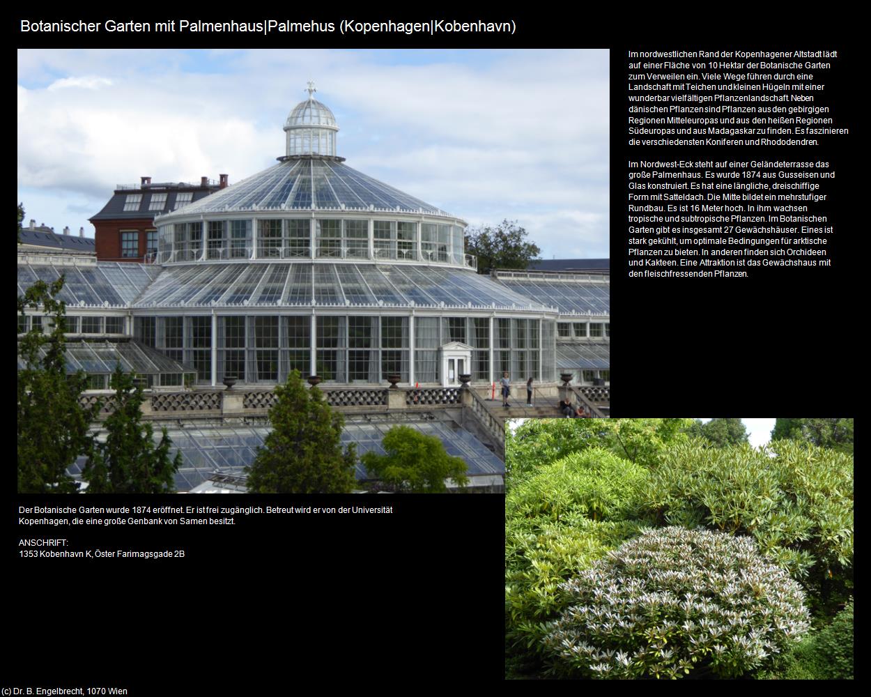 Botanischer Garten mit Palmenhaus (Kopenhagen|Köbenhavn) in Kulturatlas-DÄNEMARK