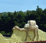 Kreisverkehr (Djelfa)