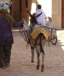 El-Atteuf Ksar II (Mzab-Tal)