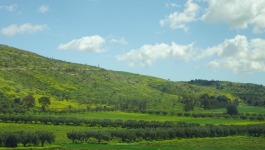 Sebkha dOran (Oran)