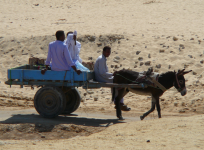 Tempel Umm Ubayd (Oase Siwa, Westliche Wüste)