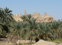 Orakeltempel in Aghurmi II (Oase Siwa, Westliche Wüste)