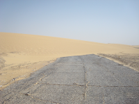 Großes Sandmeer - Wander-Dünen (Dakhla-Kharga, Westliche Wüste)